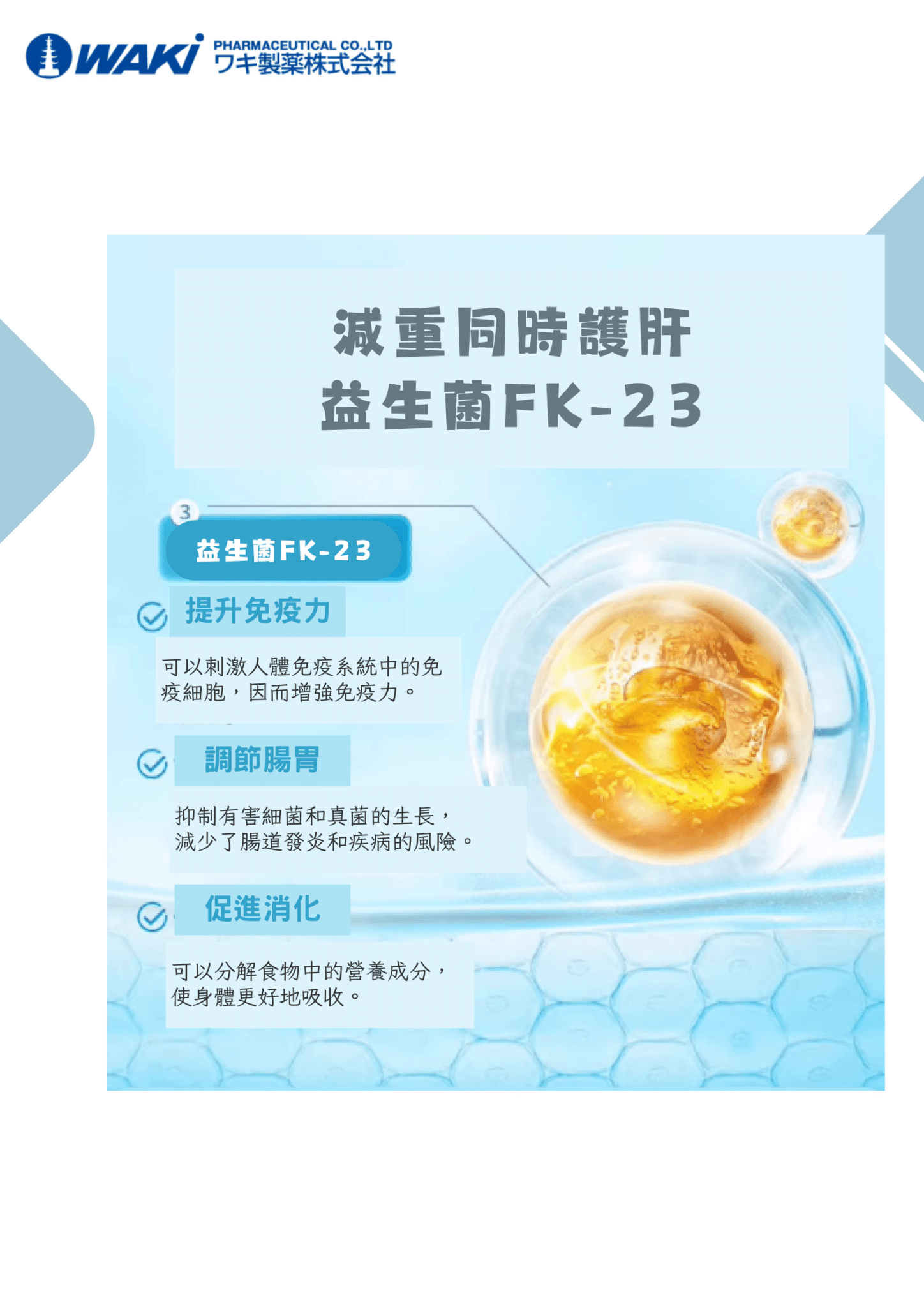 VATY燃脂益生菌，含ガルシニア，改善腸道，促進瘦身的營養補充劑，幫助高效燃脂與健康瘦身