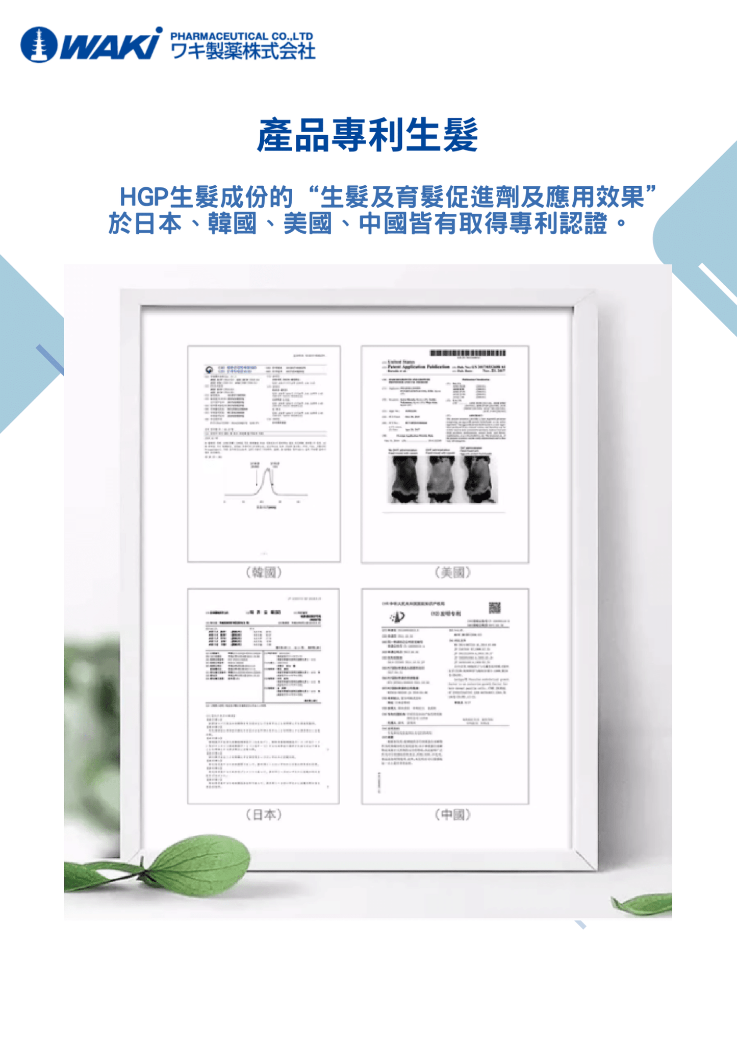 WAKi 菲爾莫生髮素，日式科研證實的營養補充劑，用於喚醒沈睡頭皮，促進黑亮豐盈髮絲