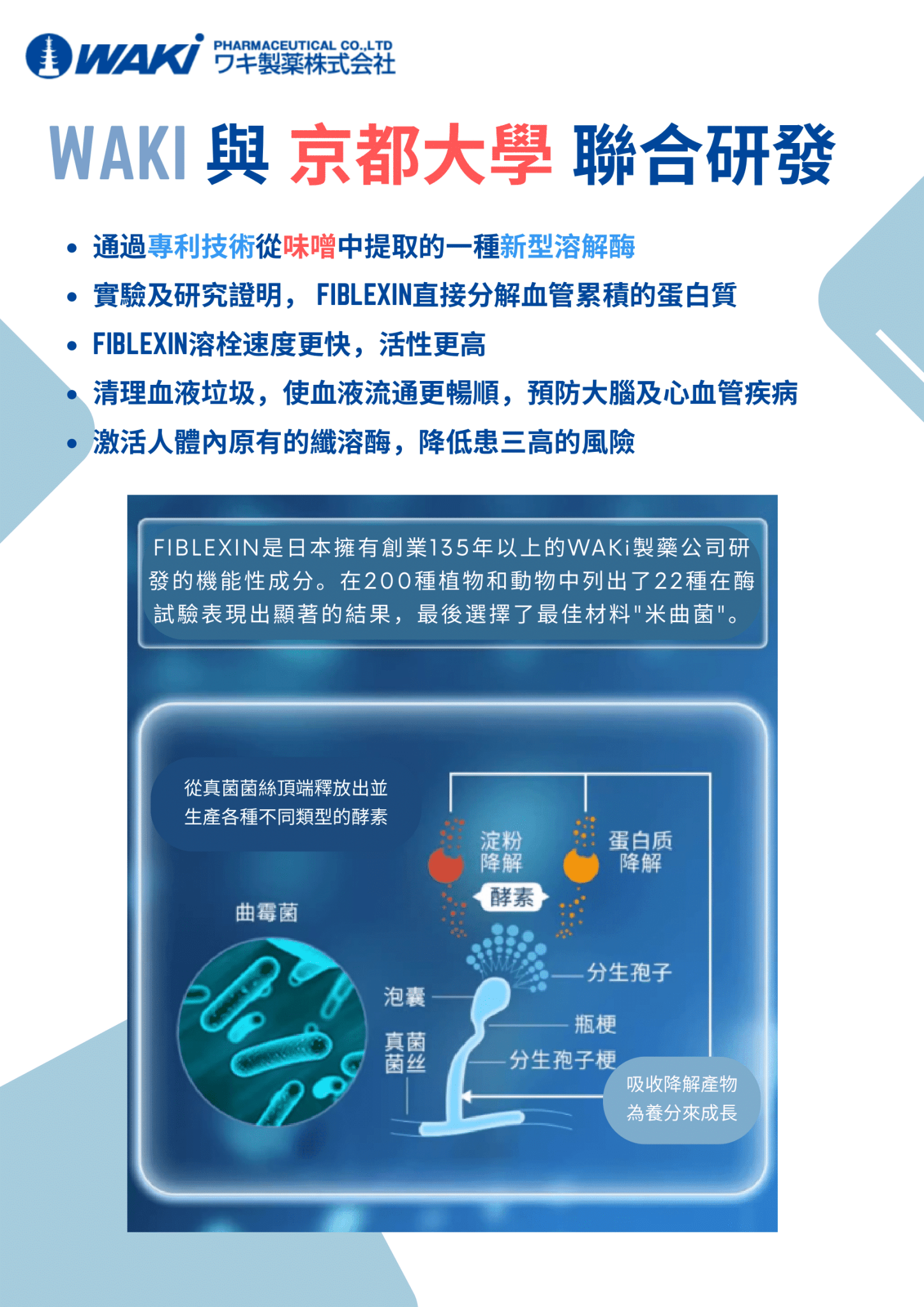 WAKi FIBLEXIN麹抽出物營養補充劑，促進血液清除、疏通血管，預防三高，日本京都大學專利研發